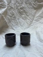 Sake Cup Twin Set