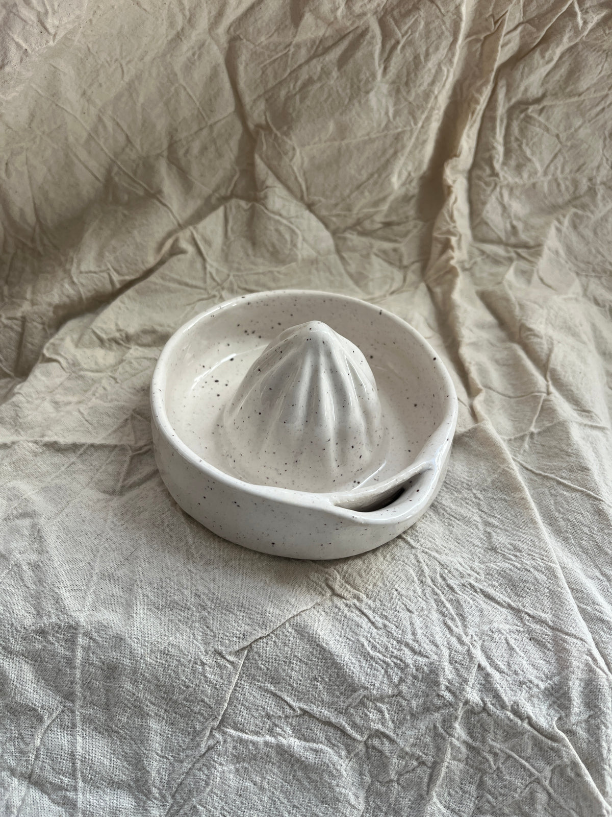Speckle Lemon Squeezer